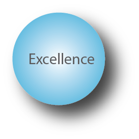 Values Excellence Image